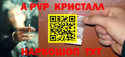 прущие грибы Будённовск