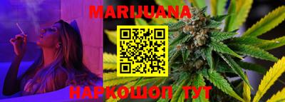 прущие грибы Будённовск