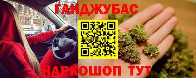 прущие грибы Будённовск