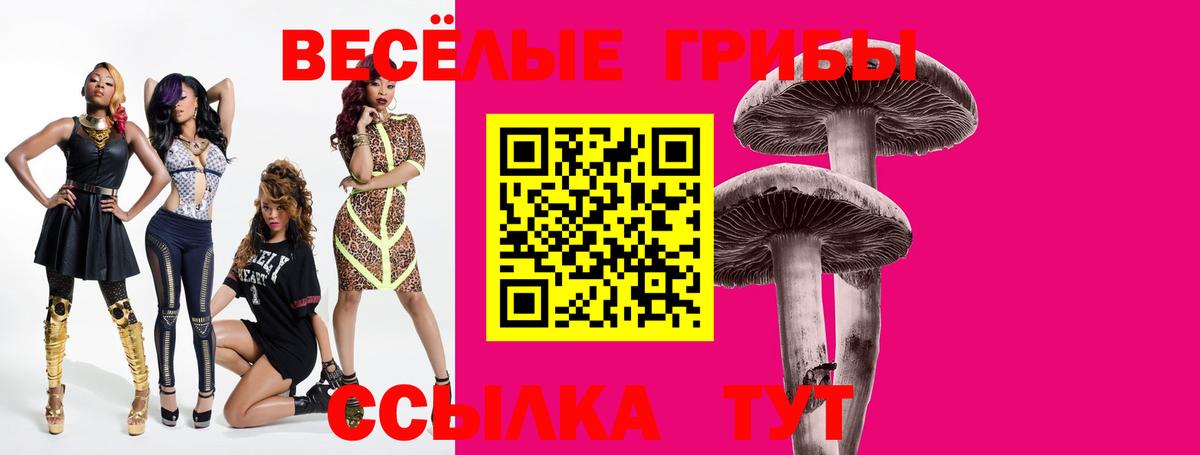 Псилоцибиновые грибы мицелий Муравленко