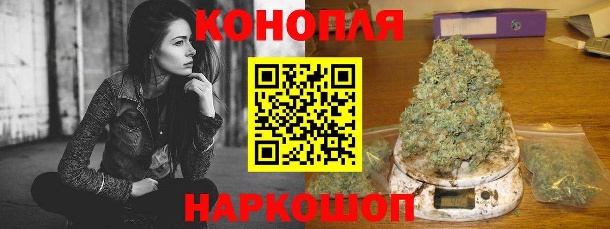 Конопля конопля  Канабис сатива  Вход с VPN  Марихуана ГИДРОПОН  Муравленко 